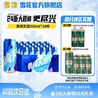 移动端：雪花 BEER 雪花 SNOWBEER BEER BEER 勇闯天涯 啤酒 500ml*24听