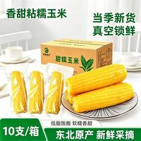开源保丰 东北黄糯玉米香粘真空装黏玉米非转基因黄玉米早餐代餐新鲜软糯 东北黄糯玉米真空装220g*10支
