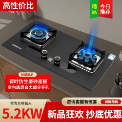 旺厨好太太 6258方形炉架 液化气