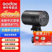 神牛 AD100proII二代外拍闪光灯摄影灯TTL锂电池便携单反相机口袋外拍灯 AD100proII二代