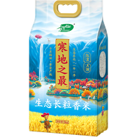 移动端：十月稻田 寒露秋香 长粒王