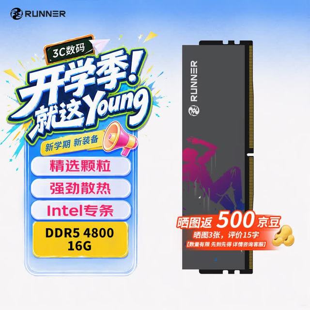 奔跑者 电竞马甲 台式机内存条
