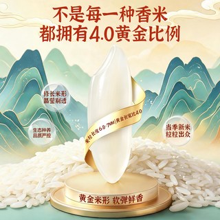 陈克明 稻虾米香米 湖南长粒籼米