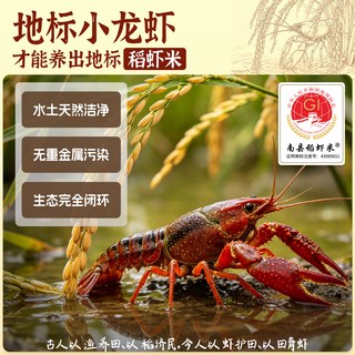 陈克明 稻虾米香米 湖南长粒籼米