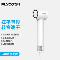 飞科 负离子护发电吹风 FH6370