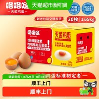 88VIP：咯咯哒 3倍叶黄素可生食大码灭菌蛋宝宝孕妇食用新鲜直发顺丰配送