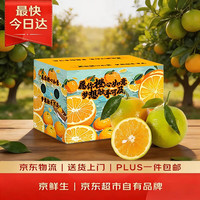 京鲜生 赣南脐橙 单果230g+ 5kg