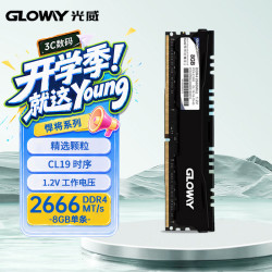 光威 悍将系列 DDR4 2666MHz 台式机内存 马甲条 黑色 8GB