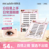 MR.WISH 免胶假睫毛百搭款气质新手单簇分段式
