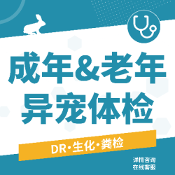 成年老年兔及小型啮齿类体检｜含DR、生化、粪检