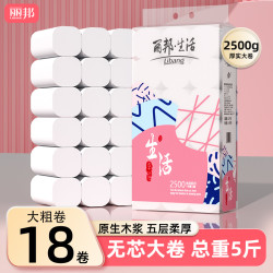 丽邦 卷纸卫生纸五层柔厚18卷/提共2500克QY