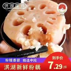 洪湖农家 洪湖粉藕 莲藕 火锅食材 生鲜 新鲜蔬菜 洪湖莲藕  湖北特产买菜 洪湖莲藕-粉藕3斤（京东快递）