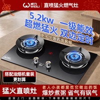 威力 厨卫旗舰店燃气灶煤气灶双灶家用猛火灶两用