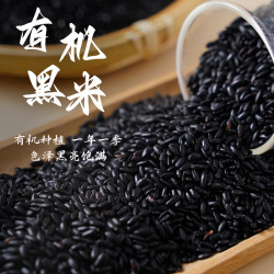 溢田 有机黑米430g独立包装东北五谷杂粮