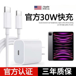栀得 适用苹果iPadPro平板30W快充电器头Air专用pd闪充线双typec数据线