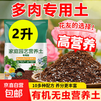多肉专用营养土绿植通用家用花土疏松透气多肉种菜花卉种植土壤 2升*多肉专用土