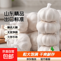 新干蒜4.5cm网兜蒜出口级别标准净蒜大蒜头干 山东精品大蒜1斤（净重0.8斤）