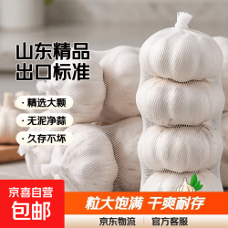 新干蒜4.5cm网兜蒜出口级别标准净蒜大蒜头干 山东精品大蒜1斤（净重0.8斤）