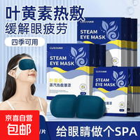 恒温蒸汽眼罩遮光热敷缓解眼部疲劳学生党 热敷2片尝鲜