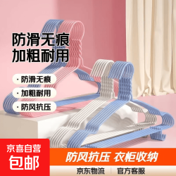 京东快递衣架 40cm凹槽带钩随机色 10支