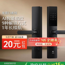 龙霆 T3w丨德施曼旗下龙霆T3系列智能门锁家用防盗指纹密码智能锁