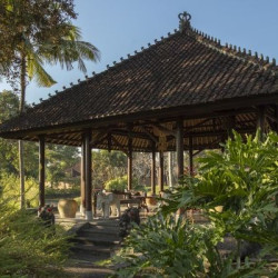塔娜伽嘉哈迪普拉纳度假村(Tanah Gajah, a Resort by Hadiprana) 一卧室俱乐部套房3晚(连住)