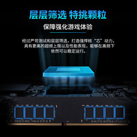 储奇黑金DDR4 3200/3600 INTEL台式机内存条