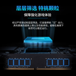储奇 黑金DDR4 3200/3600 INTEL台式机内存条