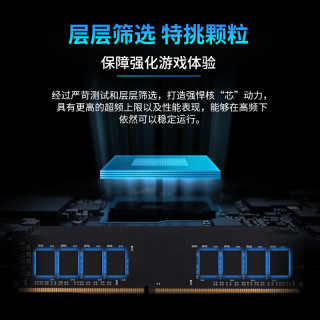 储奇 黑金DDR4 3200/3600 INTEL台式机内存条