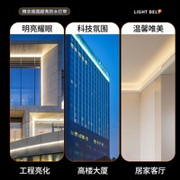 精忠报国 LED灯带 三色变光 COB工程灯条