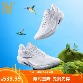 361° 男鞋篮球鞋飚速BB 2新品轻质缓震稳定实战防滑耐磨训练球鞋 M1°RO 40