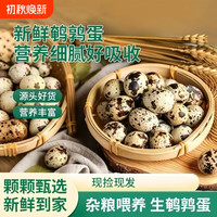 移动端：新鲜鹌鹑蛋农家自产特产批发杂粮喂养散养宝宝辅食多规格