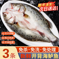 百鲜洽 深海七星海鲈鱼开背净膛整鱼 400g-500g/条*3条