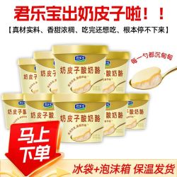 君乐宝 奶皮子酸奶酪120g*9杯浓稠酸奶下午茶