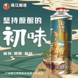 珠江啤酒 11°P原浆啤酒 980mL