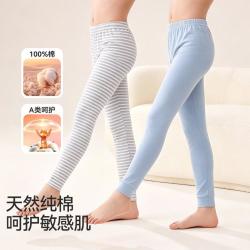 Hodo 男童秋裤校服内搭纯棉保暖中大童儿童裤子