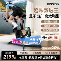 RIDO/力动CX30动感单车正负坡度减肥家用健身器械室内公路自行车