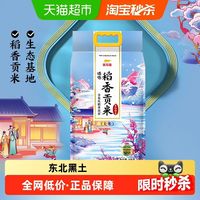 金龙鱼 臻选 稻香贡米 5kg