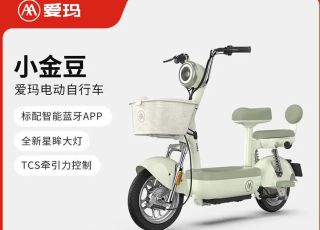 爱玛 小金豆 48V铅酸电池 新国标电动自行车