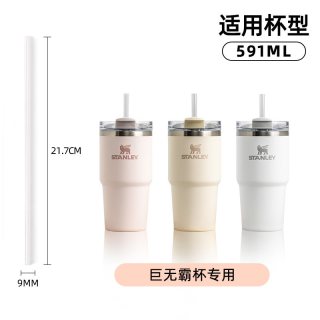 88VIP：斯坦利 巨无霸吸管杯适用tritan吸管配件 吸管2支