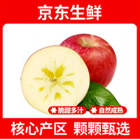正宗大漠冰糖心苹果新鲜水果时令红富士丑苹果陕西特产生鲜整箱 特选5斤超值装