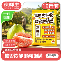 京鲜生 福建琯溪蜜柚 净重10斤