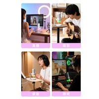 得胜 GX3 语音降噪 电脑游戏麦克风