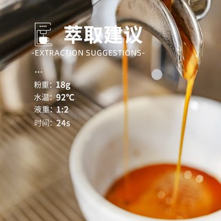 DGTOP 水洗耶加雪菲咖啡豆 454g 罐装