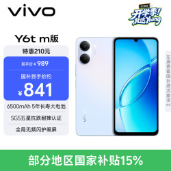 vivo Y6t m版 4GB+128GB 霞光蓝 6500mAh 5年长寿大电池 SGS五星抗跌耐摔认证 IP65防尘抗水 AI手机