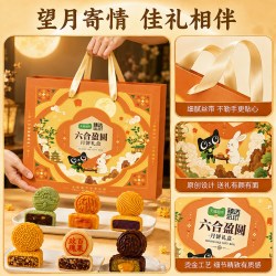 天猫超市 六合盈圆月饼礼盒 300g*1（6味6饼）