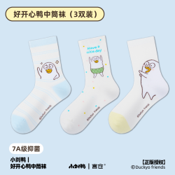 言仓 小刘鸭中筒袜子抗菌礼盒生日礼物学生女生实用送情侣创意可爱