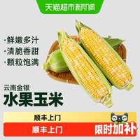 泰壹榴 顺丰上门新鲜玉米云南金银水果玉米甜玉米棒子包谷新鲜蔬菜