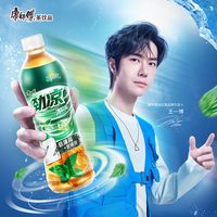 康师傅 双倍薄荷劲凉冰红茶900ml*8瓶夏日饮品整箱囤货团购直播