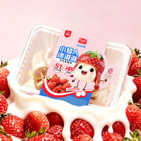 美登高 小矮人冰淇淋 草莓牛乳口味360g/盒 牛奶雪糕冰激凌冷饮 小矮人草莓味360g
